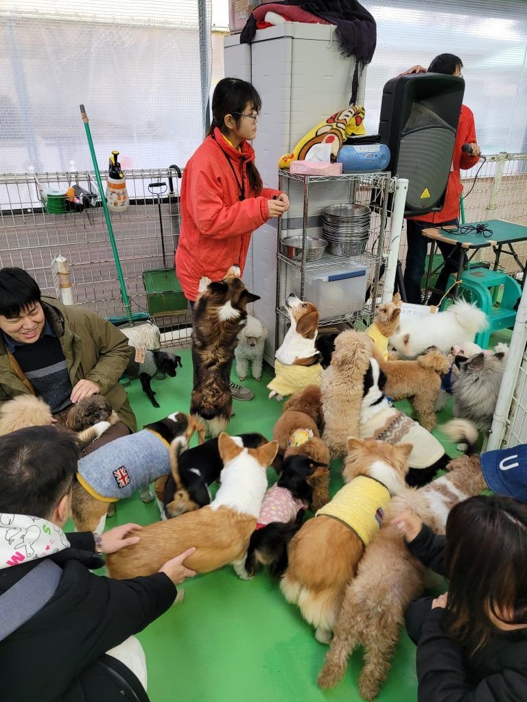 🐶 츠쿠바 왕왕 랜드 (쓰쿠바 완완란도) 이미지 3